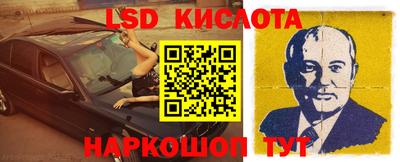 прущие грибы Кандалакша