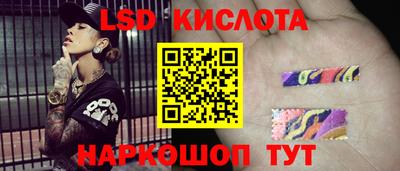прущие грибы Кандалакша