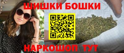прущие грибы Кандалакша