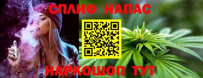 прущие грибы Кандалакша